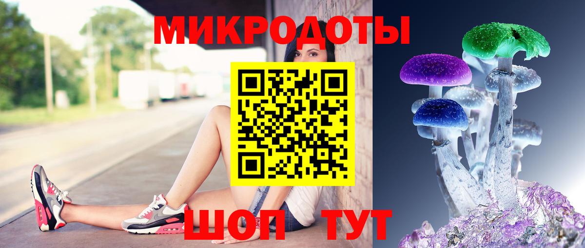 Сегежа  Псилоцибиновые грибы MAGIC MUSHROOMS  Вход с VPN  Галлюциногенные грибы GOLDEN TEACHER 
